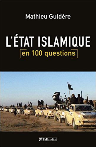 L’État islamique en 100 questions 